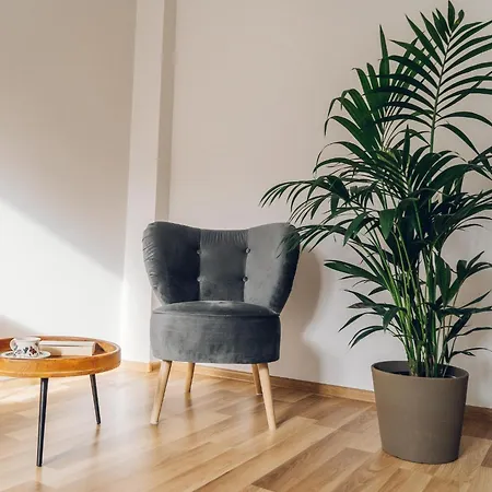 Gæstehus Stylish Boho Bedrooms Downtown *
